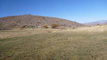 Lower vegetation transect - right to left