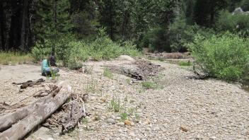 Main Channel Upstream