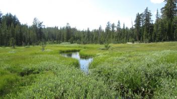 Main Channel with Ponding