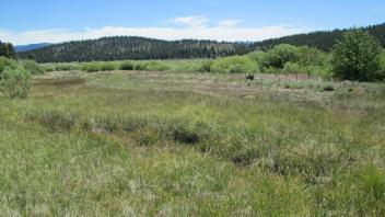 Main channel at lower transect, looking downstream towards reservoir