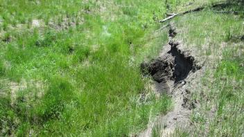 Main channel below lower transect, incised