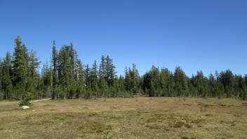 Meadow View Point 1 (east)
