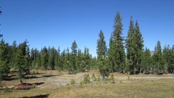 Meadow View Point 1 (north)