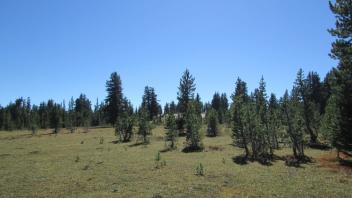 Meadow View Point 1 (southwest)