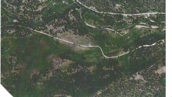 Meadow aerial