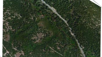 Meadow aerial (middle)