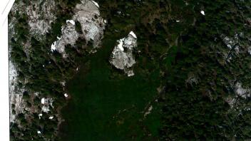 Meadow aerial