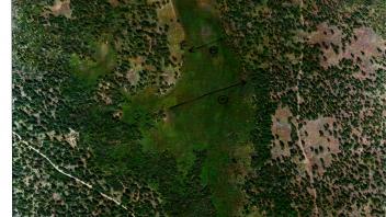 Meadow aerial