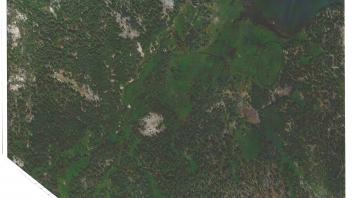 Meadow aerial