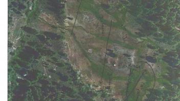 Meadow aerial