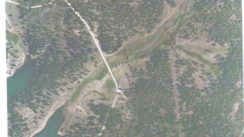 Meadow aerial