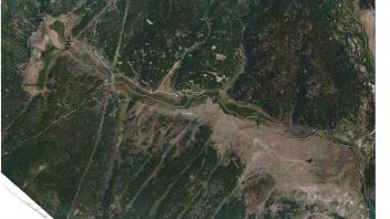 Meadow aerial