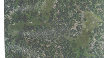 Meadow aerial