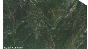 Meadow aerial