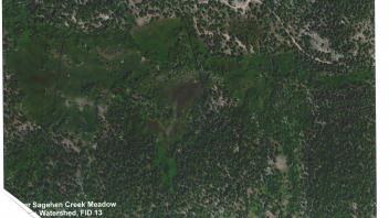 Meadow aerial