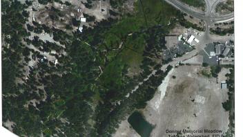 Meadow aerial