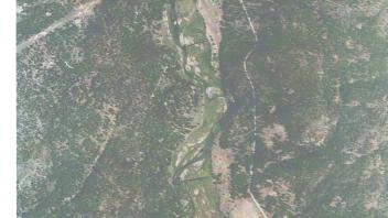 Meadow aerial