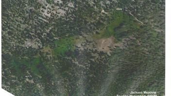 Meadow aerial