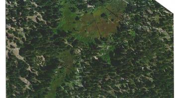 Meadow aerial
