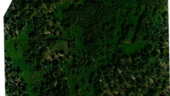 Meadow aerial