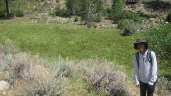 Meadow section along Markleeville Creek, <15 acres