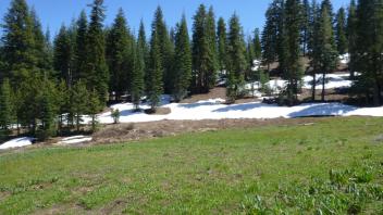 Middle Transect (left to right)