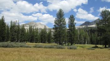 Middle Transect (right to left)