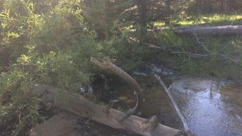 Middle Transect Channel (downstream)