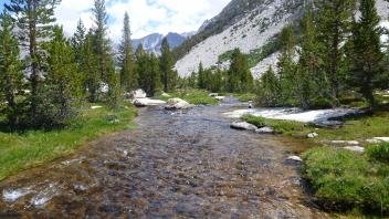 Middle Transect Channel (downstream)