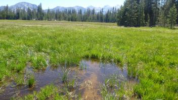 Middle Transect Channel (downstream)
