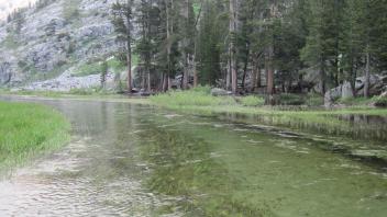 Middle Transect Channel (downstream)