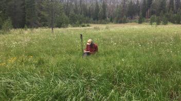 Middle Transect Channel (left to right)