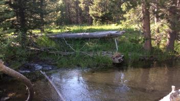 Middle Transect Channel (left to right)