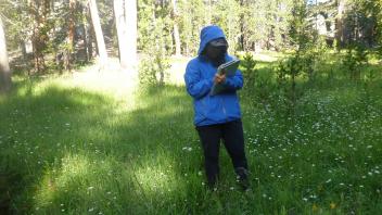Middle Transect Channel (left to right)