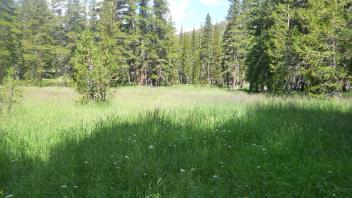 Middle Transect Channel (left to right)