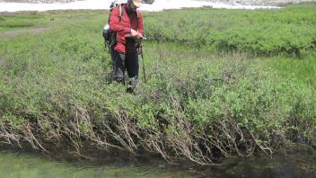 Middle Transect Channel (left to right)