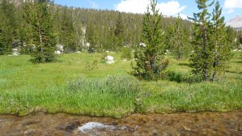 Middle Transect Channel (right to left)