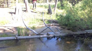 Middle Transect Channel (right to left)