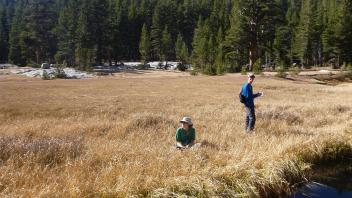 Middle Transect Channel (right to left)