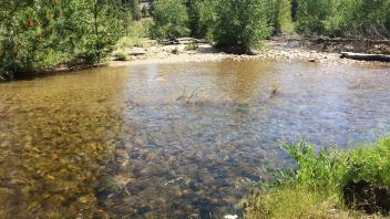 Middle Transect Channel (right to left)