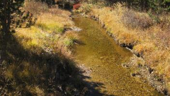 Middle Transect Channel (upstream)