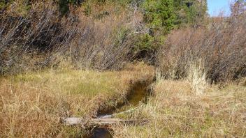 Middle Transect Channel (upstream)