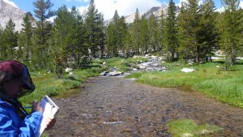 Middle Transect Channel (upstream)