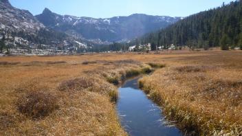 Middle Transect Channel (upstream)
