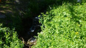 Middle Transect Channel (upstream)