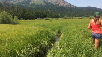 Middle Transect Channel (upstream)