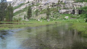 Middle Transect Channel (upstream)