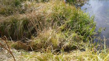 Middle Transect Channel 2 (left to right)