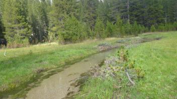 Middle Transect Channel 2 Upstream