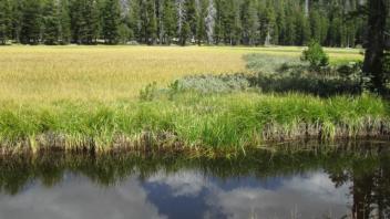 Middle Transect Channel Crossing (right to left)